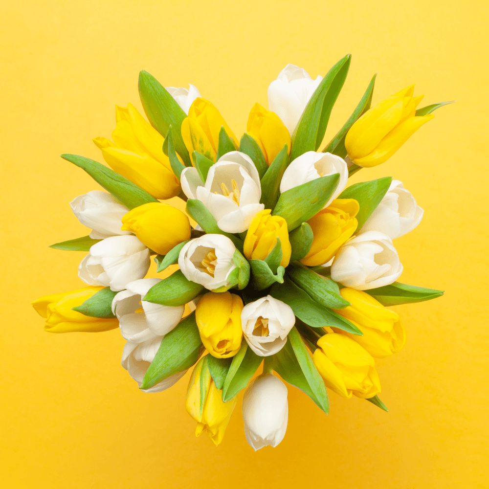 Easter Sunday Lunch event